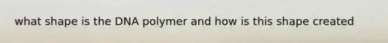 what shape is the DNA polymer and how is this shape created