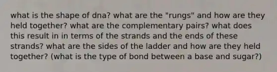 what is the shape of dna? what are the "rungs" and how are they held together? what are the complementary pairs? what does this result in in terms of the strands and the ends of these strands? what are the sides of the ladder and how are they held together? (what is the type of bond between a base and sugar?)