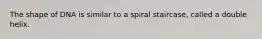 The shape of DNA is similar to a spiral staircase, called a double helix.