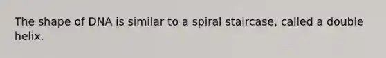 The shape of DNA is similar to a spiral staircase, called a double helix.