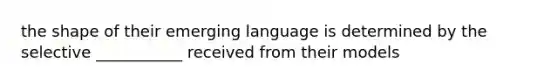 the shape of their emerging language is determined by the selective ___________ received from their models