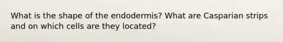 What is the shape of the endodermis? What are Casparian strips and on which cells are they located?