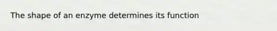 The shape of an enzyme determines its function
