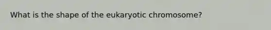 What is the shape of the eukaryotic chromosome?