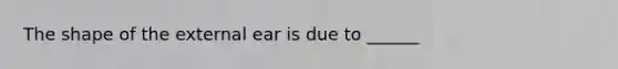 The shape of the external ear is due to ______