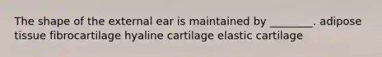 The shape of the external ear is maintained by ________. adipose tissue fibrocartilage hyaline cartilage elastic cartilage