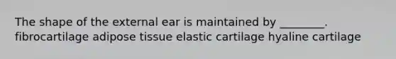 The shape of the external ear is maintained by ________. fibrocartilage adipose tissue elastic cartilage hyaline cartilage