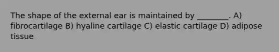 The shape of the external ear is maintained by ________. A) fibrocartilage B) hyaline cartilage C) elastic cartilage D) adipose tissue