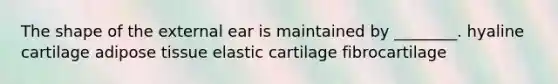 The shape of the external ear is maintained by ________. hyaline cartilage adipose tissue elastic cartilage fibrocartilage