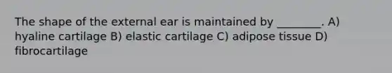 The shape of the external ear is maintained by ________. A) hyaline cartilage B) elastic cartilage C) adipose tissue D) fibrocartilage