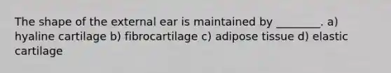 The shape of the external ear is maintained by ________. a) hyaline cartilage b) fibrocartilage c) adipose tissue d) elastic cartilage