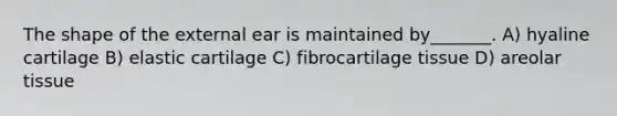 The shape of the external ear is maintained by_______. A) hyaline cartilage B) elastic cartilage C) fibrocartilage tissue D) areolar tissue