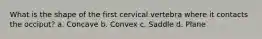 What is the shape of the first cervical vertebra where it contacts the occiput? a. Concave b. Convex c. Saddle d. Plane