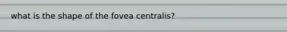 what is the shape of the fovea centralis?