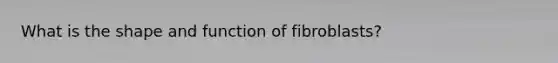 What is the shape and function of fibroblasts?