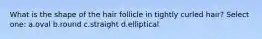 What is the shape of the hair follicle in tightly curled hair? Select one: a.oval b.round c.straight d.elliptical