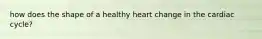 how does the shape of a healthy heart change in the cardiac cycle?