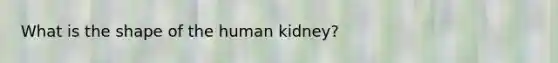 What is the shape of the human kidney?