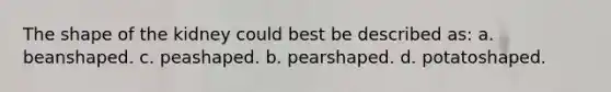 The shape of the kidney could best be described as: a. beanshaped. c. peashaped. b. pearshaped. d. potatoshaped.