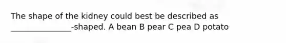 The shape of the kidney could best be described as _______________-shaped. A bean B pear C pea D potato