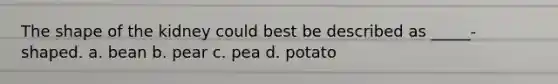 The shape of the kidney could best be described as _____-shaped. a. bean b. pear c. pea d. potato