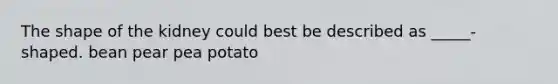 The shape of the kidney could best be described as _____-shaped. bean pear pea potato