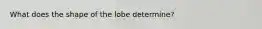 What does the shape of the lobe determine?