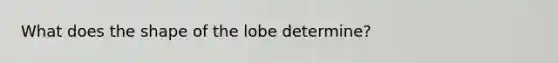 What does the shape of the lobe determine?