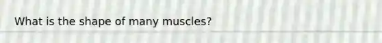 What is the shape of many muscles?