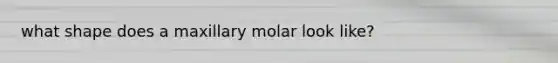 what shape does a maxillary molar look like?