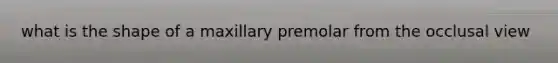 what is the shape of a maxillary premolar from the occlusal view