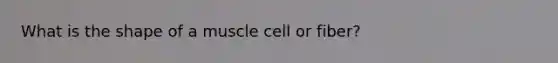 What is the shape of a muscle cell or fiber?