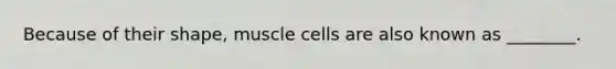 Because of their shape, muscle cells are also known as ________.