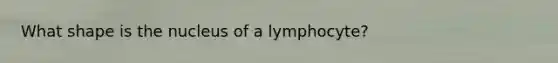 What shape is the nucleus of a lymphocyte?