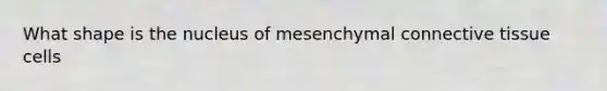 What shape is the nucleus of mesenchymal connective tissue cells