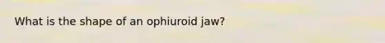 What is the shape of an ophiuroid jaw?