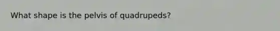 What shape is the pelvis of quadrupeds?