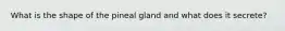 What is the shape of the pineal gland and what does it secrete?