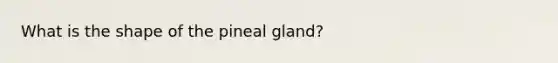 What is the shape of the pineal gland?​