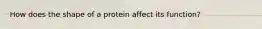 How does the shape of a protein affect its function?