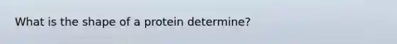 What is the shape of a protein determine?