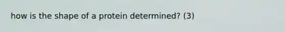 how is the shape of a protein determined? (3)