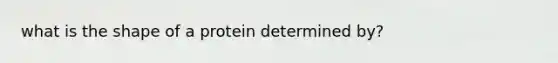 what is the shape of a protein determined by?