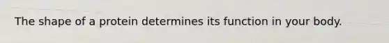 The shape of a protein determines its function in your body.