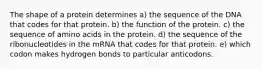 The shape of a protein determines a) the sequence of the DNA that codes for that protein. b) the function of the protein. c) the sequence of amino acids in the protein. d) the sequence of the ribonucleotides in the mRNA that codes for that protein. e) which codon makes hydrogen bonds to particular anticodons.