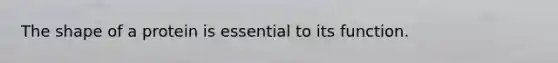 The shape of a protein is essential to its function.