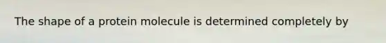 The shape of a protein molecule is determined completely by