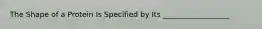 The Shape of a Protein Is Specified by Its __________________