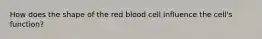 How does the shape of the red blood cell influence the cell's function?