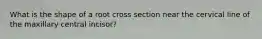 What is the shape of a root cross section near the cervical line of the maxillary central incisor?